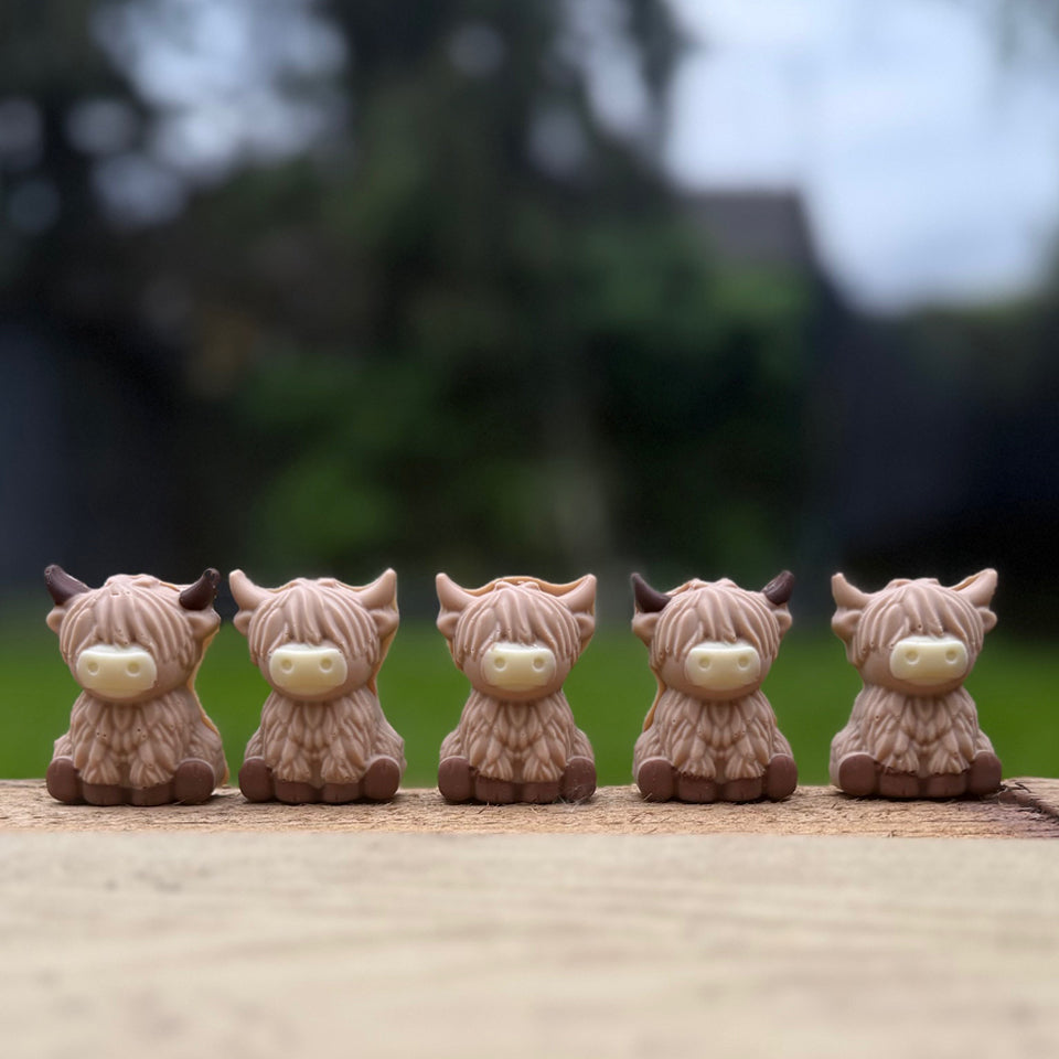 Chocolate Highland Cows - Case Of 6