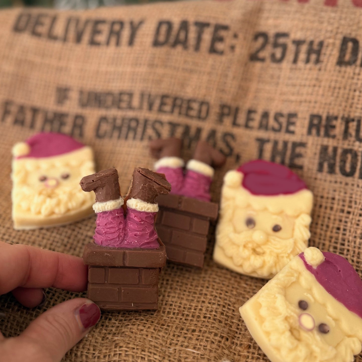 Chocolate Santa Box - Case Of 6