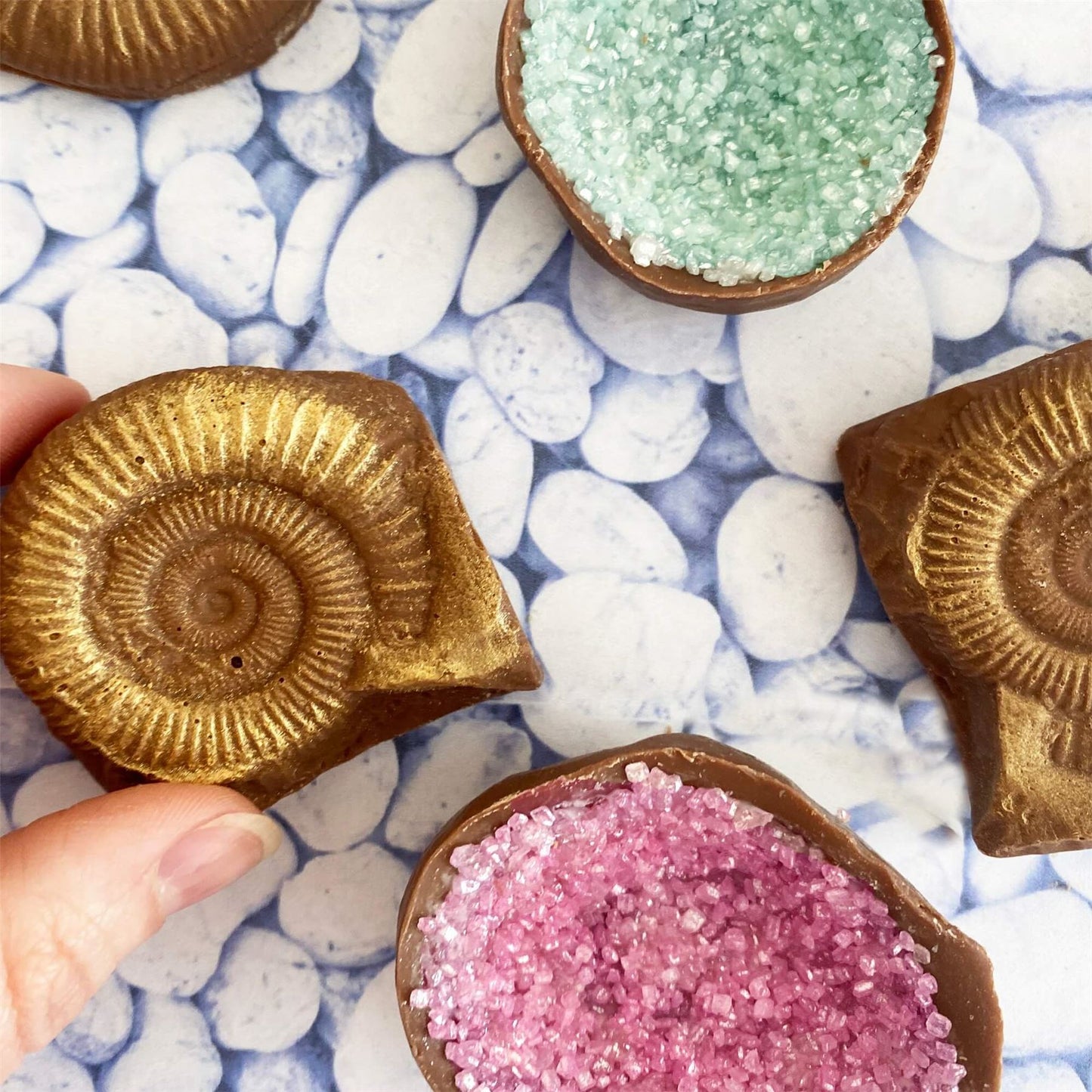 Chocolate Fossils And Amethyst - Case Of 6