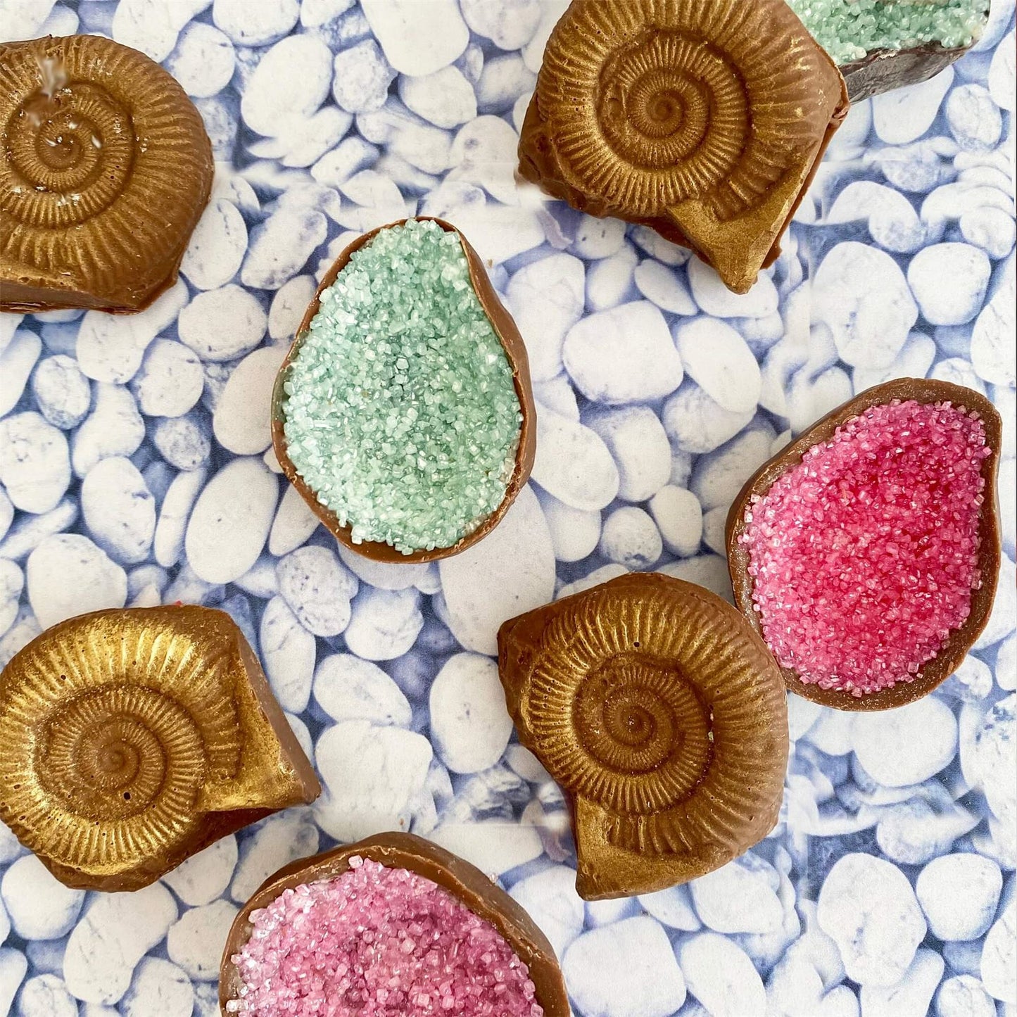 Chocolate Fossils And Amethyst - Case Of 6