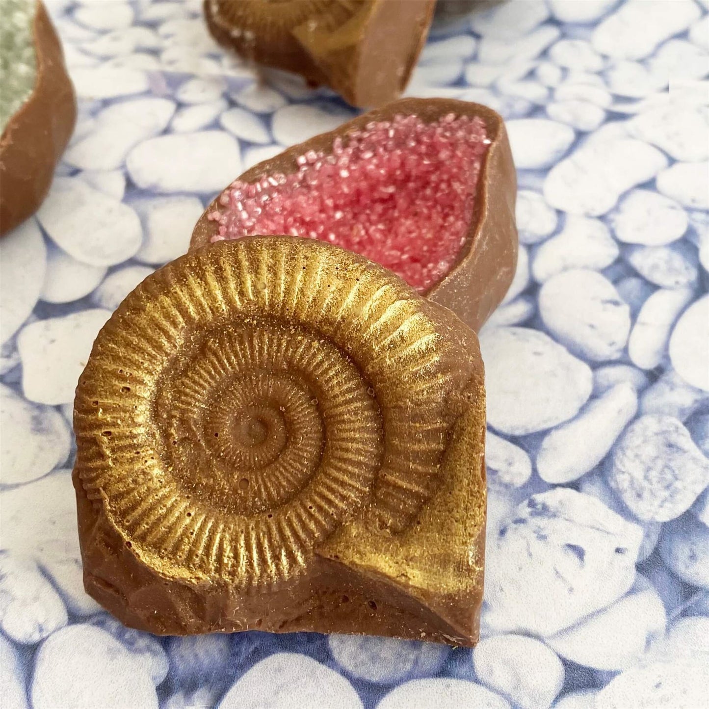 Chocolate Fossils And Amethyst - Case Of 6