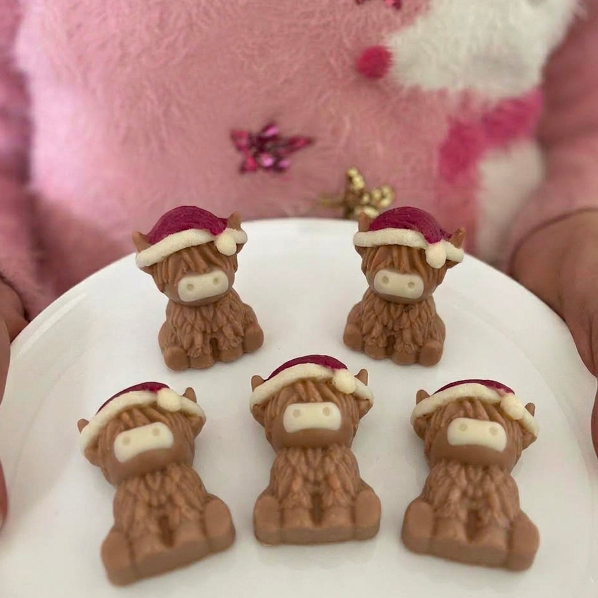 Chocolate Santa Highland Cows - Case Of 6