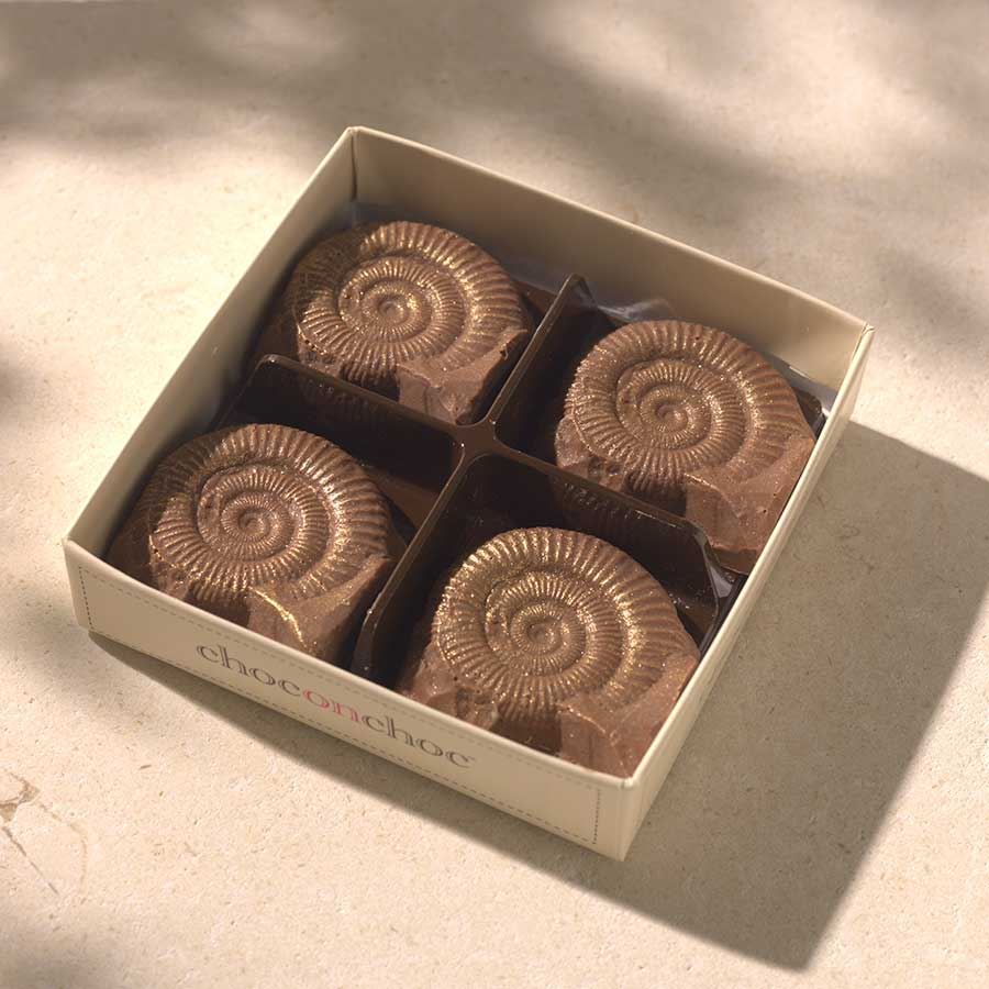 Chocolate Fossils - Case Of 6