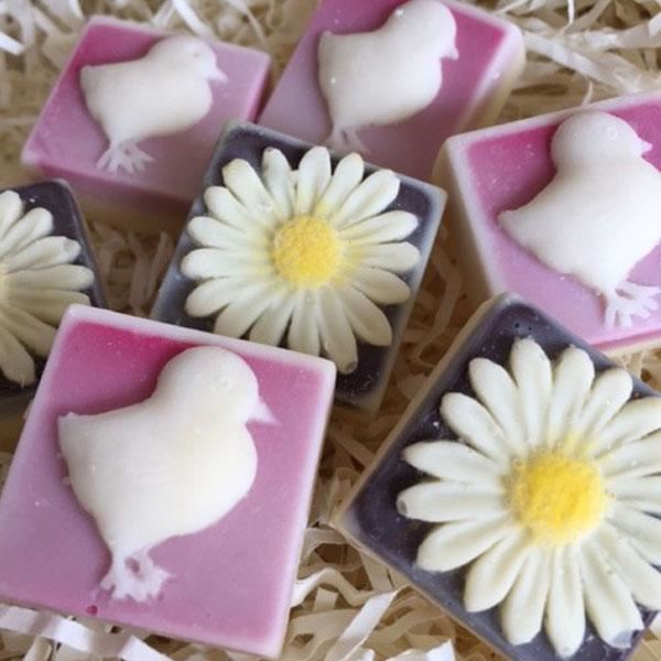 Chocolate Chicks And Daisies - Case Of 6