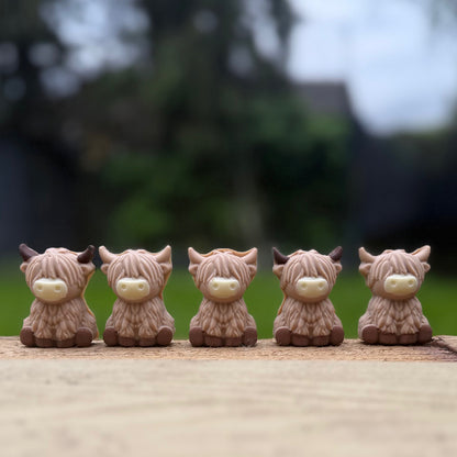 Chocolate Highland Cows - Case Of 6