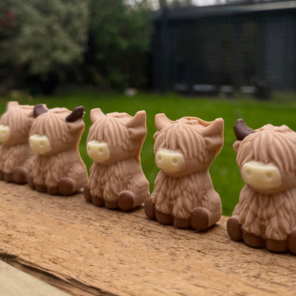 Chocolate Highland Cows - Case Of 6