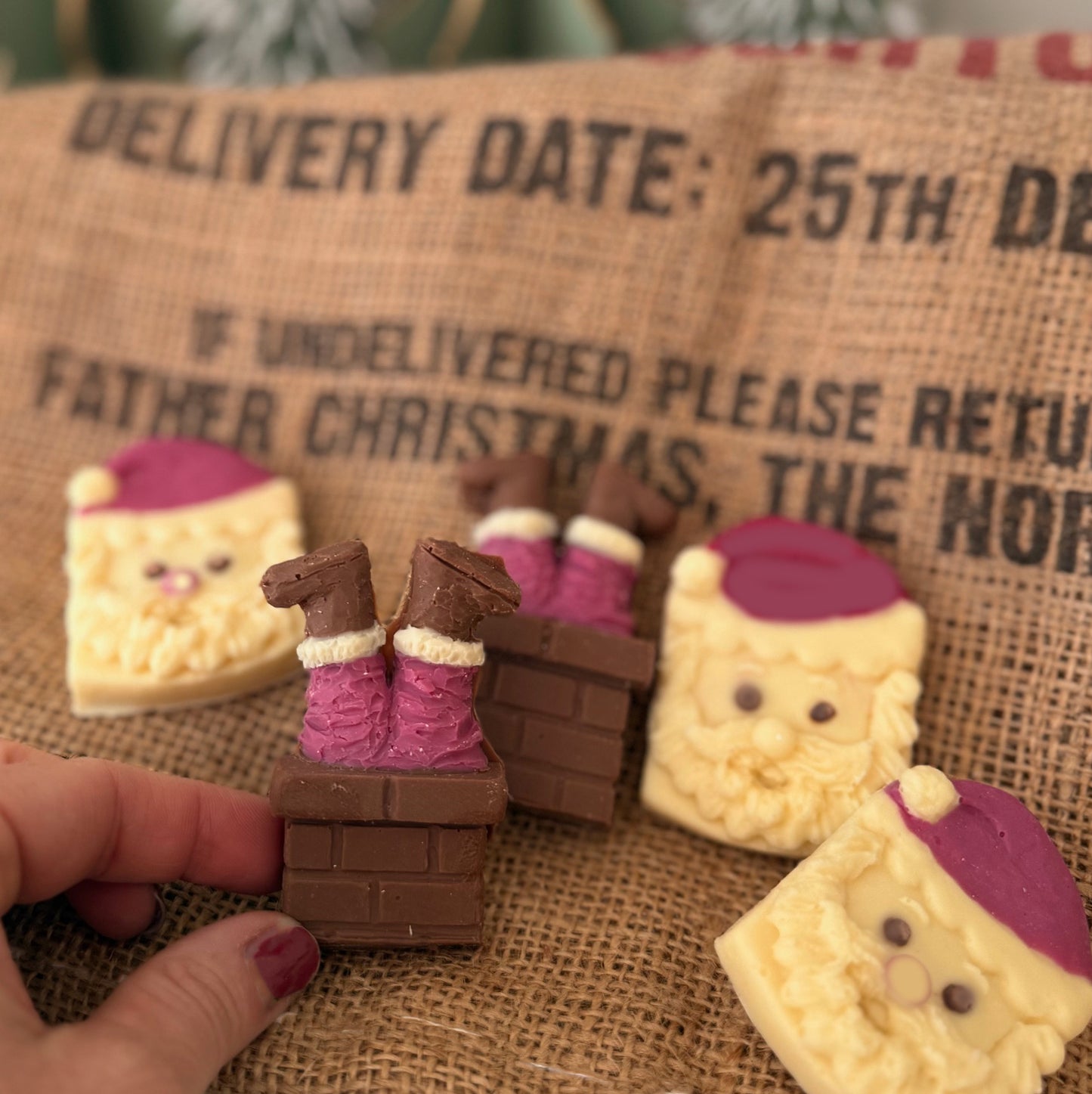 Chocolate Santa Box - Case Of 6