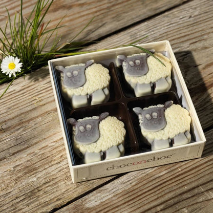 Chocolate Sheep - Case Of 6