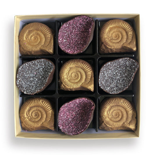 Chocolate Fossils And Amethyst - Case Of 6