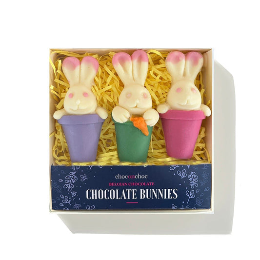 Chocolate Bunnies - Case Of 6